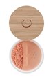 Fond de teint Minéral Bio - Couleur Caramel